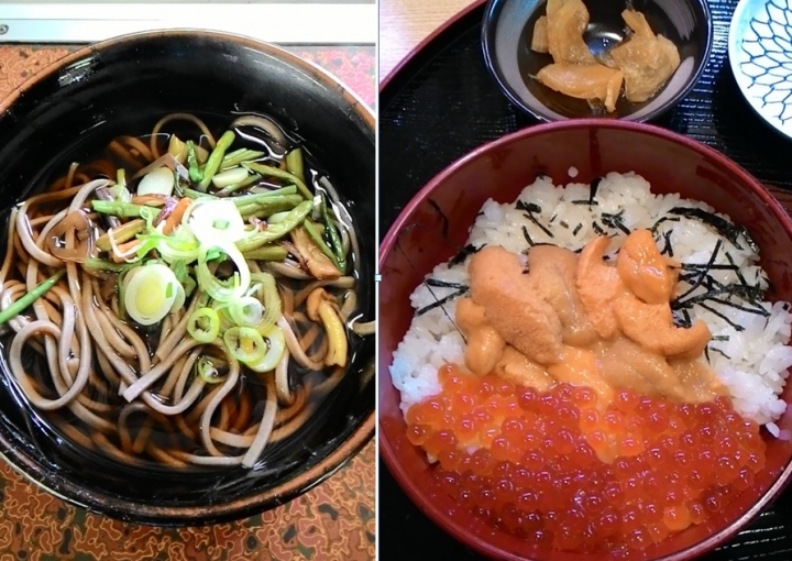 日本雙鐵遊(鐵道+鐵馬),看櫻花+吃美食+泡溫泉+遇狐狸+賞雪景,一次搞定~