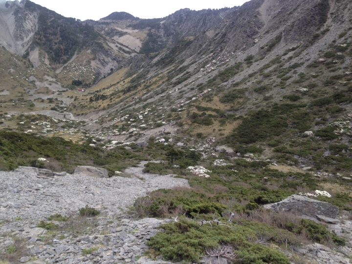 《魅影夜蝶 極限花園》南湖大山與雪山週休假期花季行