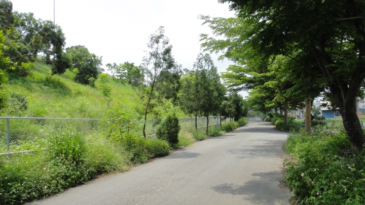 2016-05-07省道台14線全線加碼至屯原登山口(上)
