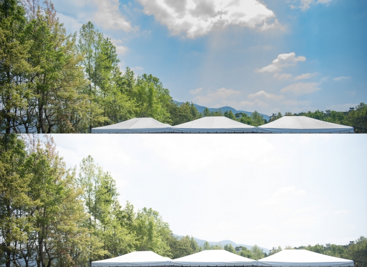 Nikon D5 vs D4 動態範圍 DR 測試比較
