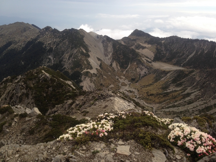 《魅影夜蝶 極限花園》南湖大山與雪山週休假期花季行