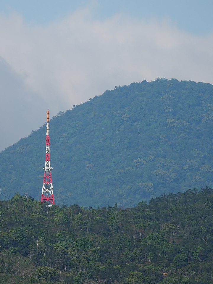 等效600mm 遠近通吃‧Olympus M.ZUIKO DIGITAL ED 300mm F4.0 IS PRO