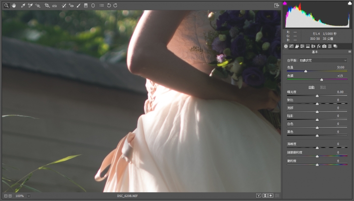 Nikon D5 vs D4 動態範圍 DR 測試比較