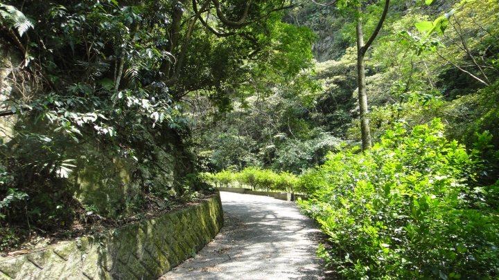 2016-05-07省道台14線全線加碼至屯原登山口(中)