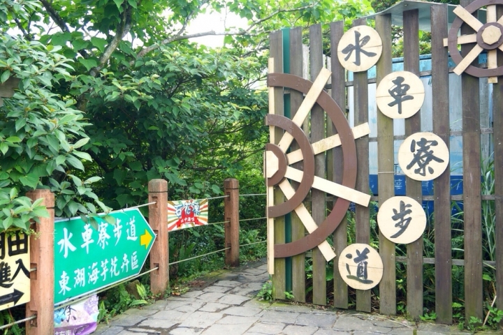 【台北】陽明山限定美景!竹子湖水車寮高家繡球花 徜徉夢幻花海