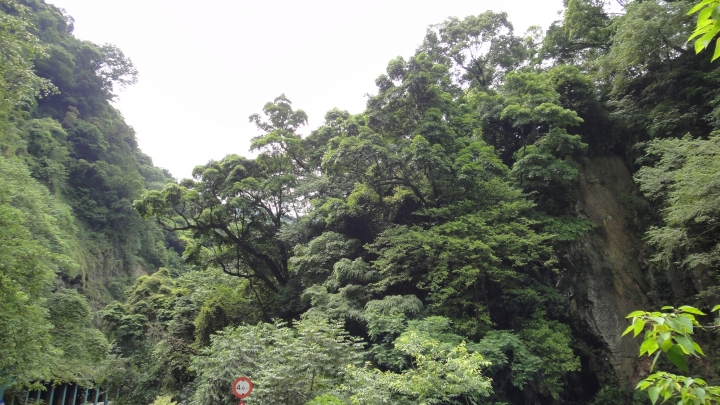 2016-05-07省道台14線全線加碼至屯原登山口(中)