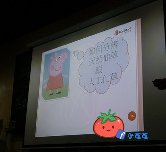 【台北景點】樹林觀光工廠推薦 黑丸嫩仙草 親子 DIY 讓你仙草吃免驚 近新莊板橋 有地圖(必看,因為很難找)
