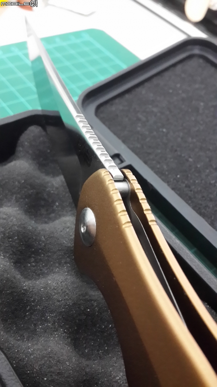 兩把flipper折刀分享 Brous Sniper & Spyderco Mamba