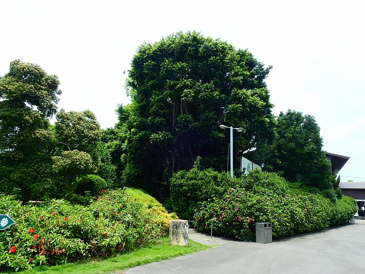 佔地五甲:彰化溪州鄉萬景藝苑
