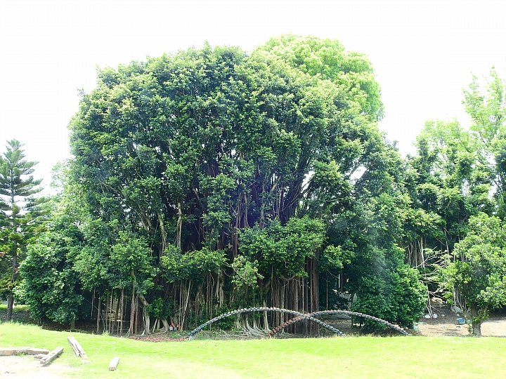 佔地五甲:彰化溪州鄉萬景藝苑