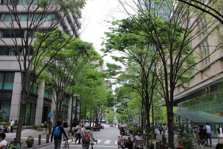 為了XXL內襯而特定到了東京NAPS足立店