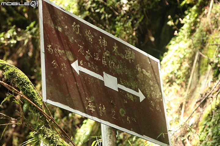 2016.4.20-24-能高安東軍縱走-5天4夜.台灣最美的山林.裸跳時刻