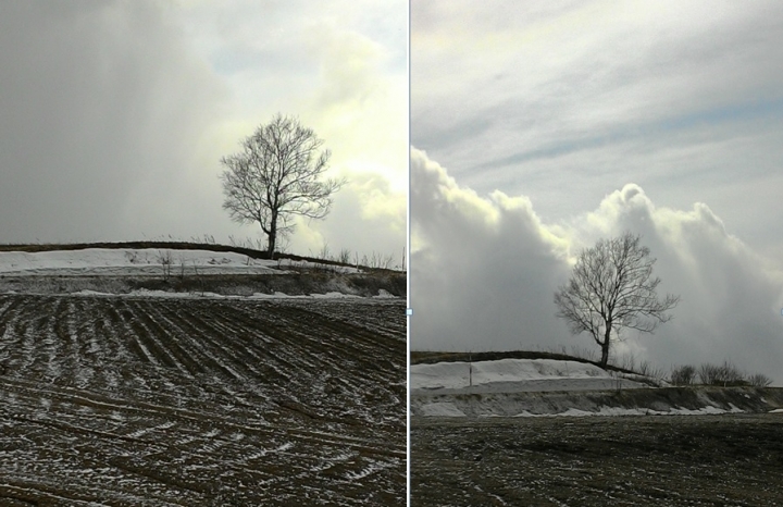 日本雙鐵遊(鐵道+鐵馬),看櫻花+吃美食+泡溫泉+遇狐狸+賞雪景,一次搞定~