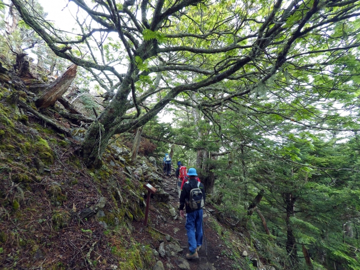 挑戰百岳 七卡山莊雪山東峰行