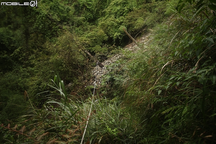 2016.4.20-24-能高安東軍縱走-5天4夜.台灣最美的山林.裸跳時刻