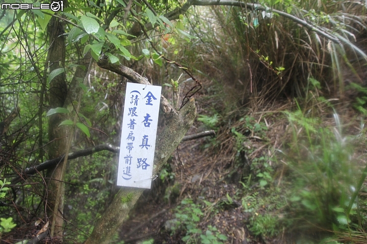 2016.4.20-24-能高安東軍縱走-5天4夜.台灣最美的山林.裸跳時刻