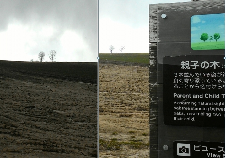 日本雙鐵遊(鐵道+鐵馬),看櫻花+吃美食+泡溫泉+遇狐狸+賞雪景,一次搞定~