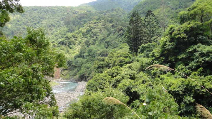 2016-06-04測量雲龍橋高度落差之行(上)順遊投84+投80清流部落。