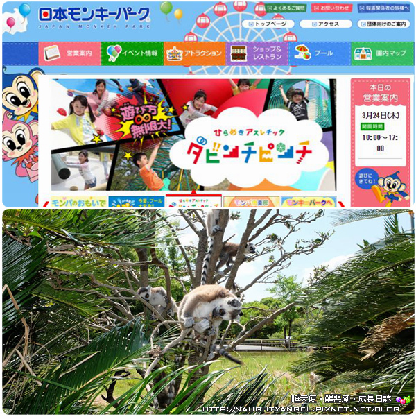 【中部國際機場】名古屋&愛知縣精選45處之夢想達陣親子景點必爬文篇