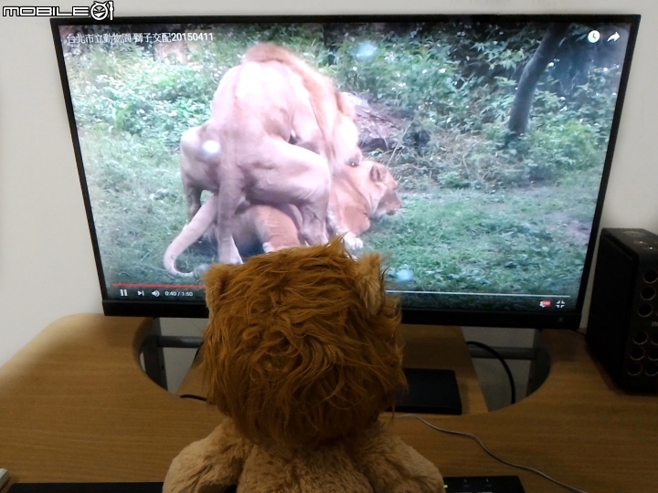 【阿基獅開箱】BenQ光智慧護眼螢幕EW2775ZH試用活動分享