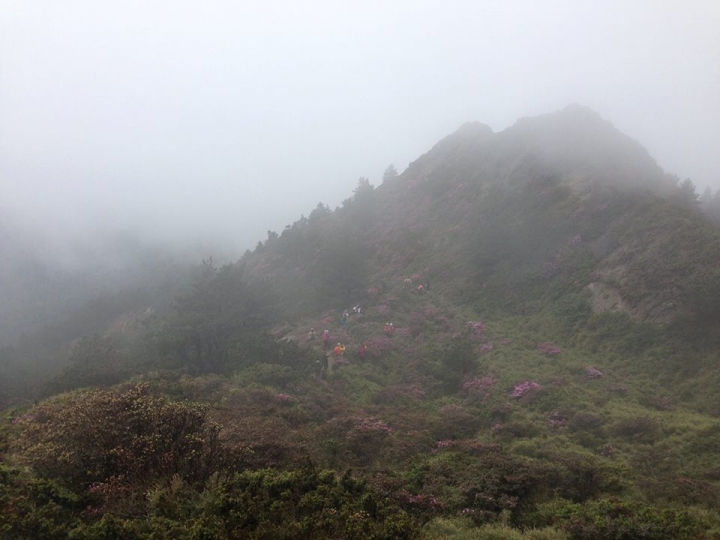 【新手登山】合歡北峰_為了爬百岳先去爬一座百岳
