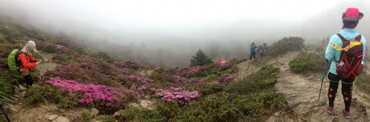 【新手登山】合歡北峰_為了爬百岳先去爬一座百岳