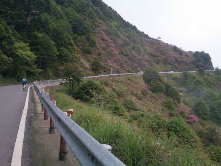 騎車一年多後……我還是不自量力去挑戰武嶺
