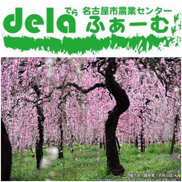 【中部國際機場】名古屋&愛知縣精選45處之夢想達陣親子景點必爬文篇