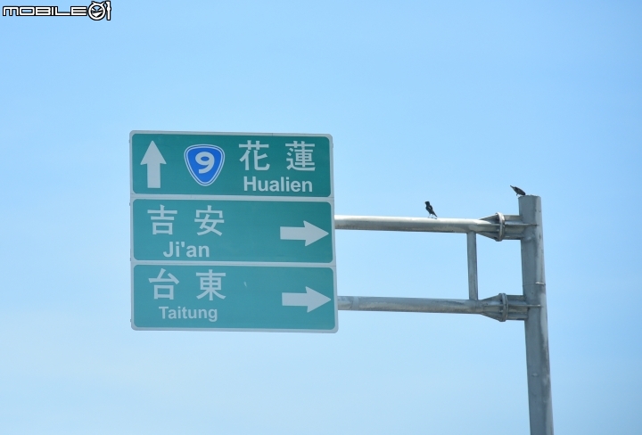 VW環島省油挑戰賽 最終成績出爐
