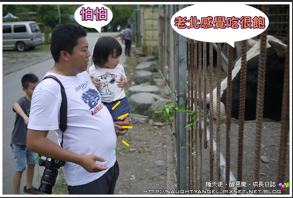 再也不用跟人家擠熱氣球季了!台東鹿鳴專屬的熱氣球,全台唯一,超酷!