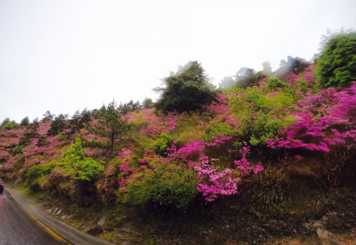 人生第7次機車環島-端午9天連假