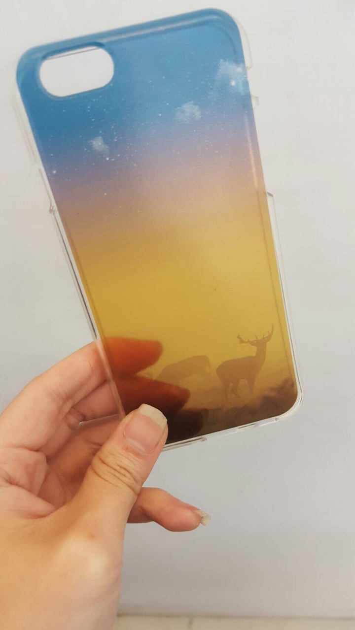 iphone 飛躍羚洋 ~~飛越開箱