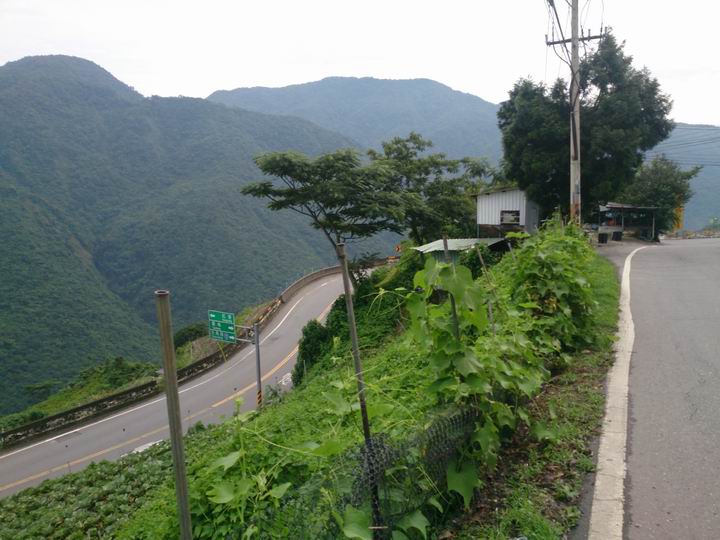 騎車一年多後……我還是不自量力去挑戰武嶺