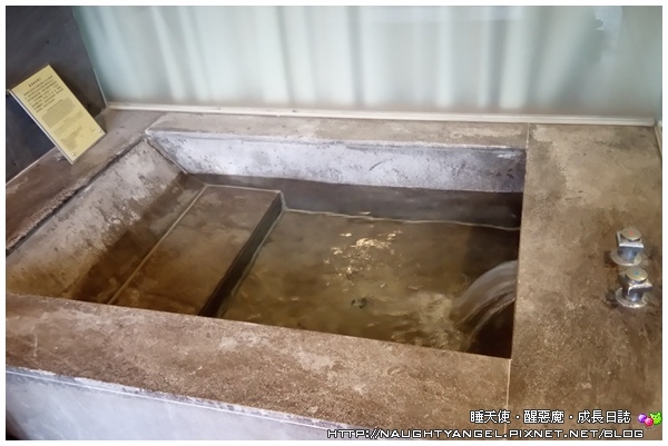 再也不用跟人家擠熱氣球季了!台東鹿鳴專屬的熱氣球,全台唯一,超酷!