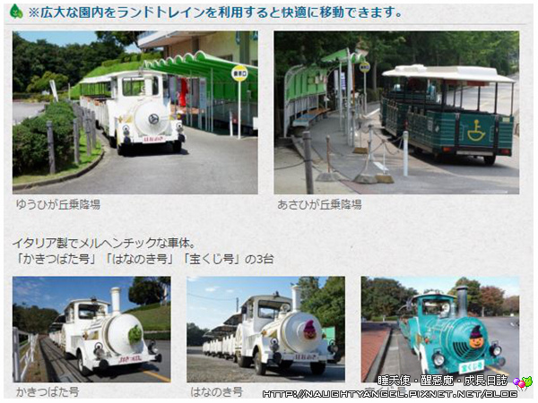 【中部國際機場】名古屋&愛知縣精選45處之夢想達陣親子景點必爬文篇
