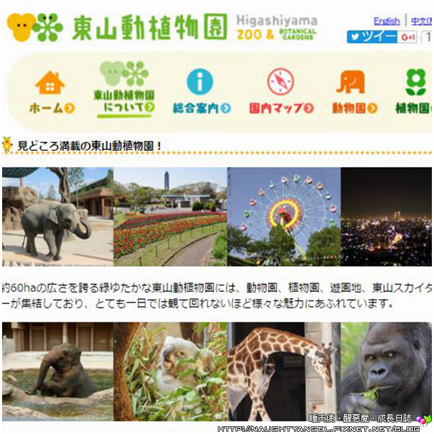 【中部國際機場】名古屋&愛知縣精選45處之夢想達陣親子景點必爬文篇