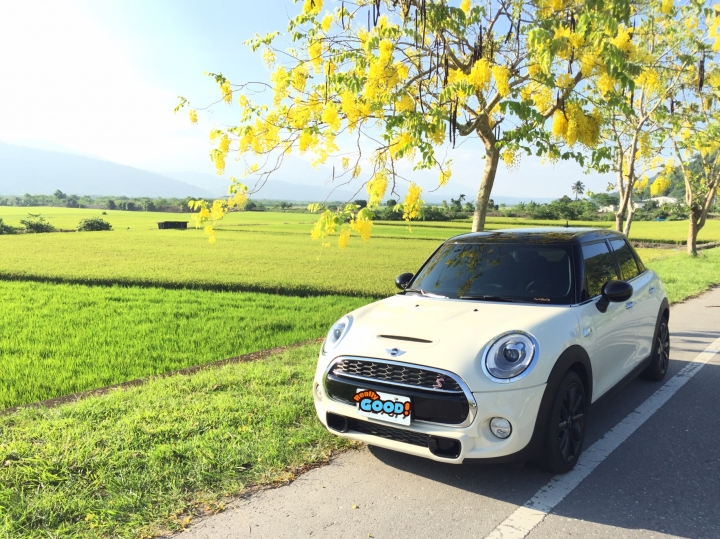 Mini cooper F55s 開箱心得報告