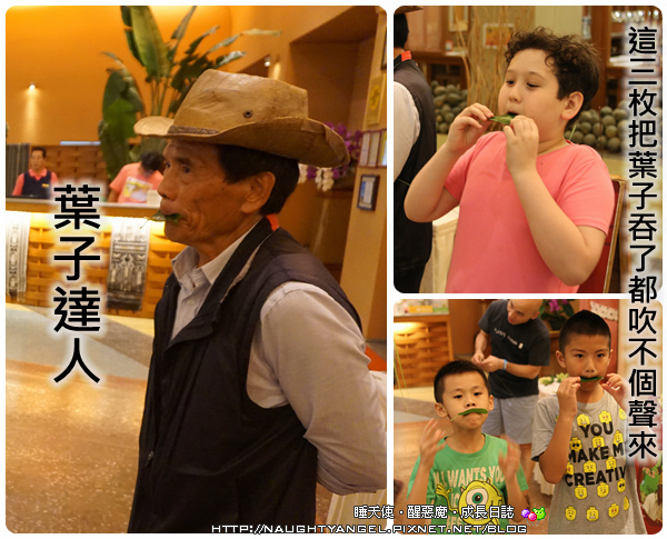 再也不用跟人家擠熱氣球季了!台東鹿鳴專屬的熱氣球,全台唯一,超酷!