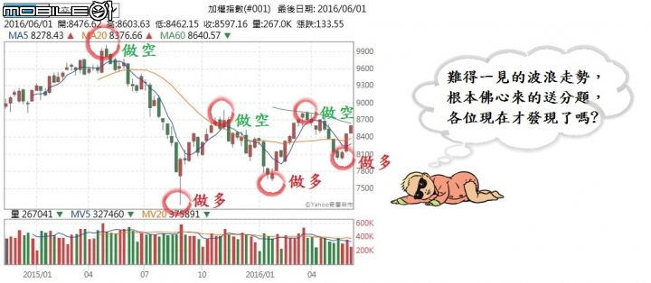 看好今年崩盤的人,心都碎了