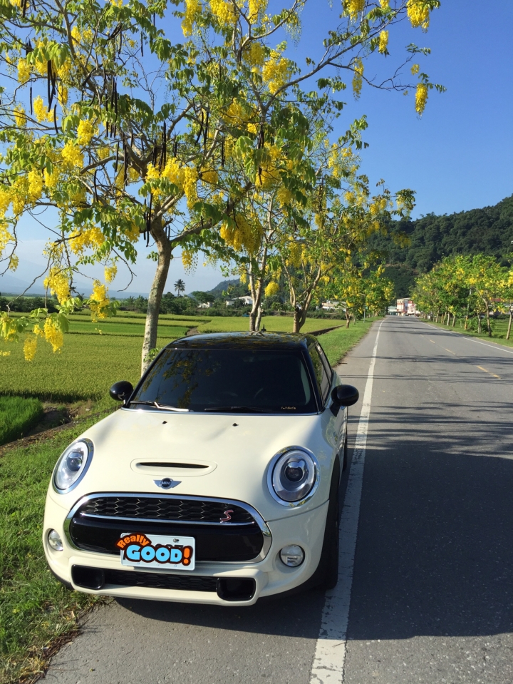 Mini cooper F55s 開箱心得報告