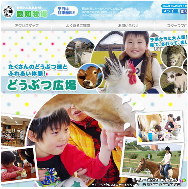 【中部國際機場】名古屋&愛知縣精選45處之夢想達陣親子景點必爬文篇
