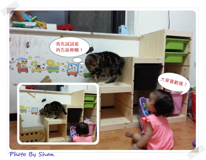 為了孩子們!IKEA寵愛毛寶貝,我們來場專屬空間改造吧!