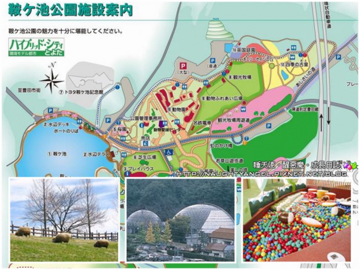【中部國際機場】名古屋&愛知縣精選45處之夢想達陣親子景點必爬文篇