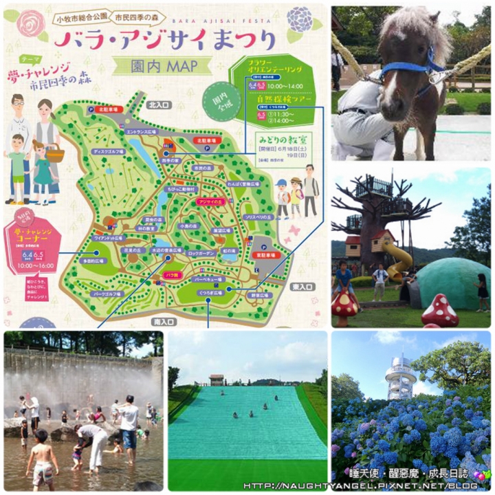 【中部國際機場】名古屋&愛知縣精選45處之夢想達陣親子景點必爬文篇