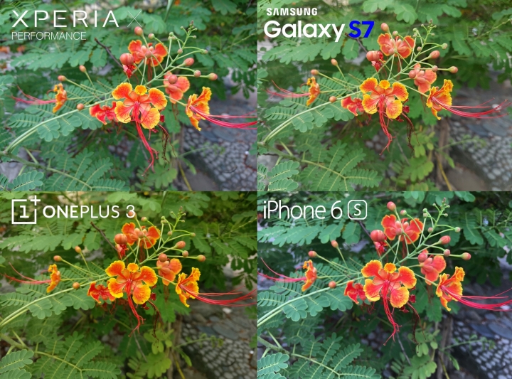 Xperia X 手機油畫化? iPhone 6s, Galaxy S7, OnePlus 3 大比拼 !