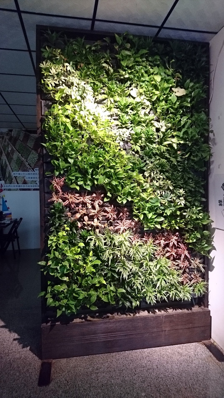 想做室內綠牆/植栽牆/生態牆
