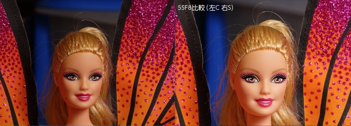 Sony鏡頭除了55定外,還有什麼很棒的人像鏡頭呢?