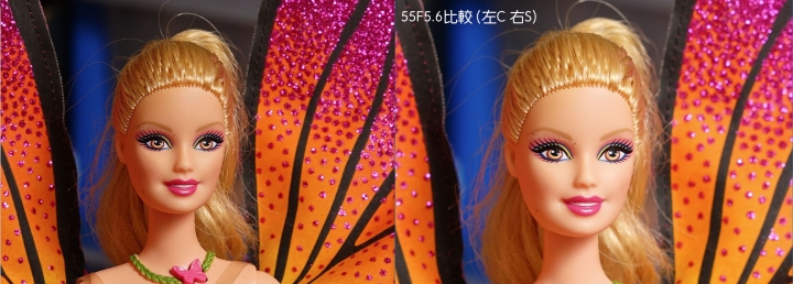 Sony鏡頭除了55定外,還有什麼很棒的人像鏡頭呢?