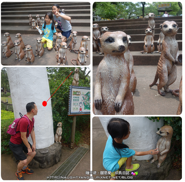 六福村暑假派對從早嗨到晚~水樂園凍感一夏、陸樂園挑戰膽量 (夜間嘉年華、煙火秀)