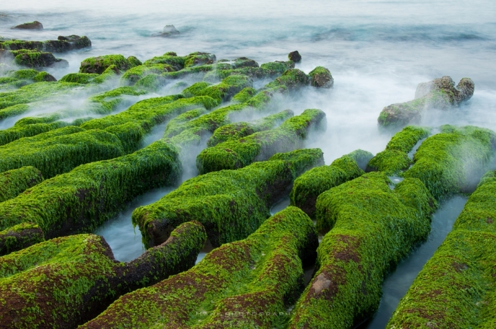 老機不死~戰神依舊D90回顧